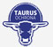 Taurus Ochrona Toruń